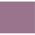 Tru-Color Paint Tru-Color Paint TCP1024 Mountbatten Pink Color TCP1024